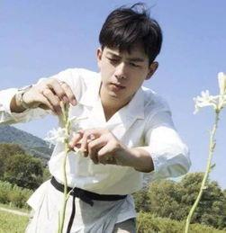 圈内真实爆料杨紫李现,幕后故事曝光引热议